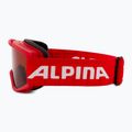 Gogle narciarskie dziecięce Alpina Piney red matt/ orange 4