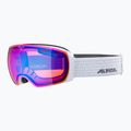 Gogle narciarskie Alpina Granby Q-Lite white gloss/blue sph 6