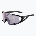 Okulary przeciwsłoneczne Alpina Hawkeye Q-Lite V black matt/purple 5