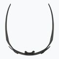 Okulary przeciwsłoneczne Alpina Hawkeye Q-Lite black matt/silver mirror 6