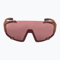 Okulary przeciwsłoneczne Alpina Hawkeye Q-Lite brick matt/black red mirror 2