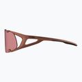 Okulary przeciwsłoneczne Alpina Hawkeye Q-Lite brick matt/black red mirror 3