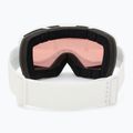 Gogle narciarskie Alpina Taos QV white matt/ gold 3