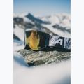 Gogle narciarskie Alpina Venet Q-Lite black/glacier matt/blue 5