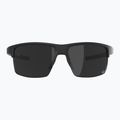 Okulary przeciwsłoneczne Alpina Eagle Q-Lite black matt/silver mirror 2