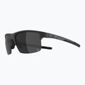 Okulary przeciwsłoneczne Alpina Eagle Q-Lite black matt/silver mirror 4