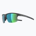 Okulary przeciwsłoneczne Alpina Eagle Q-Lite midnight/grey matt/green 3