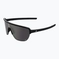 Okulary przeciwsłoneczne Alpina Ram 2.0 Q-Lite black matt / silver mirror