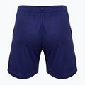 Spodenki męskie VICTOR R-03200 blue 2