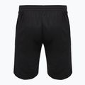 Spodenki VICTOR 4866 black 2