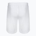 Spodenki VICTOR 4866 white 2