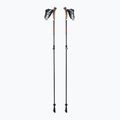 Kije nordic walking LEKI Instructor Lite czarno-srebrne 65326341