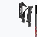 Kije narciarskie LEKI Hot Shot anodized black/eloxal gray/eloxal red 10