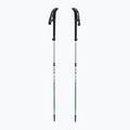 Kije trekkingowe LEKI Makalu FX TA silver/greygreen/white