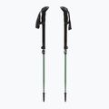 Kije trekkingowe LEKI Makalu FX TA silver/greygreen/white 5