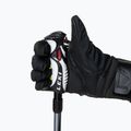 Kije narciarskie LEKI Hot Shot S black/silver 6