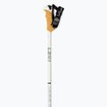 Kije narciarskie damskie LEKI Stella S W white 2