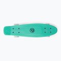 Deskorolka fiszka Playlife Vinylboard mint 3