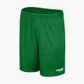 Spodenki piłkarskie męskie Capelli Sport Cs One Adult Match green/white 4