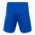 Spodenki piłkarskie męskie Capelli Sport Cs One Adult Match royal blue/white 2