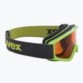 Gogle narciarskie dziecięce UVEX Speedy Pro Jr lightgreen/lasergold