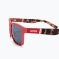 Okulary przeciwsłoneczne UVEX Lgl 39 rose matt havanna/litemirror silver 4