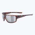 Okulary przeciwsłoneczne UVEX Sportstyle 230 havanna matt/litemirror silver 5