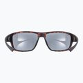 Okulary przeciwsłoneczne UVEX Sportstyle 230 havanna matt/litemirror silver 8