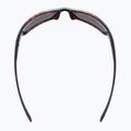 Okulary przeciwsłoneczne UVEX Sportstyle 230 havanna matt/litemirror silver 9
