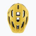 Kask rowerowy UVEX Quatro CC sunbee/white matt 4