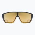 Okulary przeciwsłoneczne UVEX Mtn Style CV havanna matt fade/mirror champagne 2