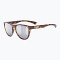 Okulary przeciwsłoneczne UVEX Esntl Spirit havanna matt/mirror silver