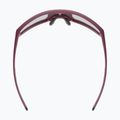 Okulary przeciwsłoneczne UVEX Skyryse burgundy matt/mirror rose 4