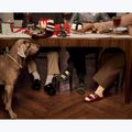 Klapki BIRKENSTOCK Arizona Birko-Flor gold 6