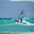 Żagiel do windsurfingu NeilPryde Sail Dragonfly HD C1 4