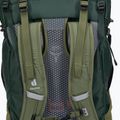 Plecak trekkingowy deuter Futura Air Trek 50 + 10 l ivy/khaki 5
