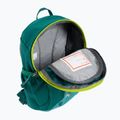 Plecak turystyczny dziecięcy deuter Pico 5 l dustblue/ alpinegreen 4