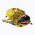 Plecak turystyczny dziecięcy deuter Waldfuchs 10 l turmeric/corn 14