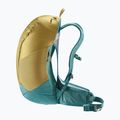 Plecak turystyczny deuter AC Lite 23 l clay/deepsea 5