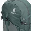 Plecak turystyczny damski deuter Trail Pro 31 l SL teal/tin 6