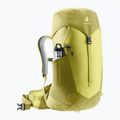 Plecak turystyczny damski deuter AC Lite 22 l SL sprout/ linden 5