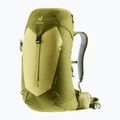 Plecak turystyczny deuter AC Lite 24 l linden/cactus 4