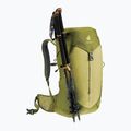 Plecak turystyczny deuter AC Lite 24 l linden/cactus 9