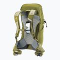 Plecak turystyczny deuter AC Lite 24 l linden/cactus 13