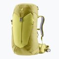 Plecak turystyczny damski deuter AC Lite 28 l SL sprout/linden 2