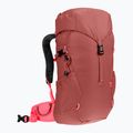Plecak turystyczny dziecięcy deuter Climber 22 l redwood/hibiscus 2