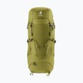 Plecak trekkingowy deuter Aircontact Core 40 + 10 l cactus/ivy
