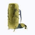 Plecak trekkingowy deuter Aircontact Core 40 + 10 l cactus/ivy 5