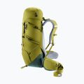 Plecak trekkingowy deuter Aircontact Core 40 + 10 l cactus/ivy 7