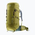 Plecak trekkingowy deuter Aircontact Core 50+10 l cactus/ivy 6
